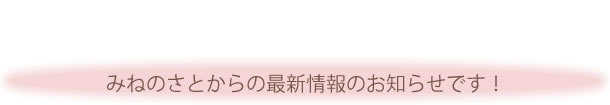 最新のお知らせ